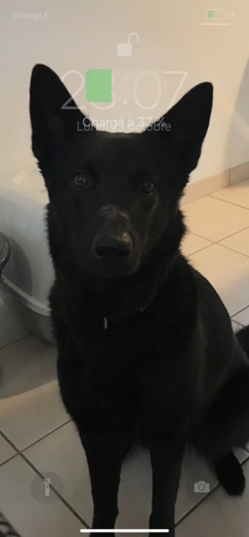 Lyka
