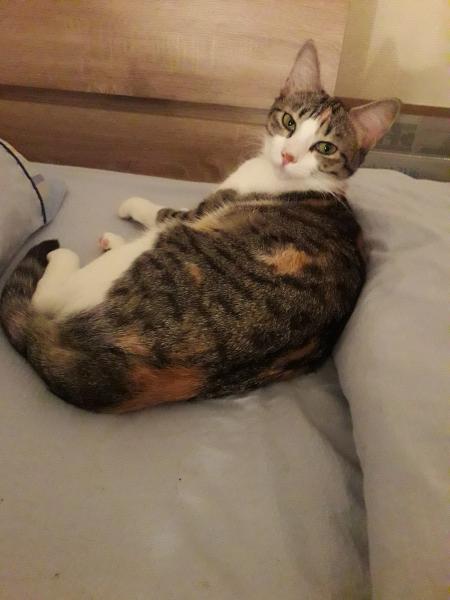 Nina