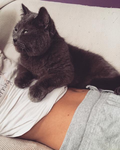 Nounours