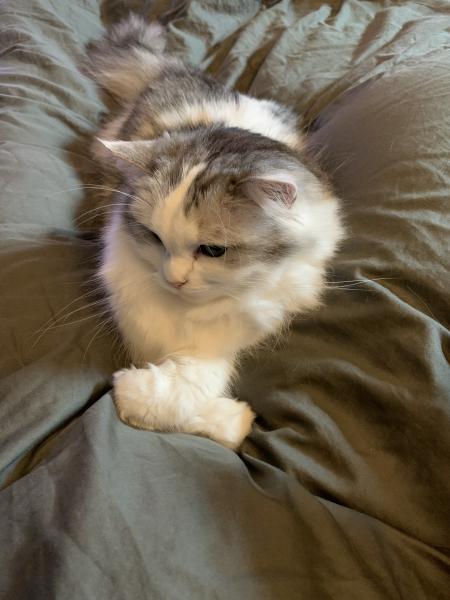 Mia