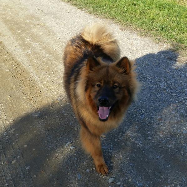 MURPHY