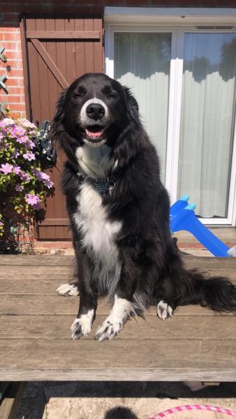 Kira