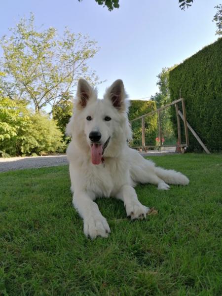 Poska