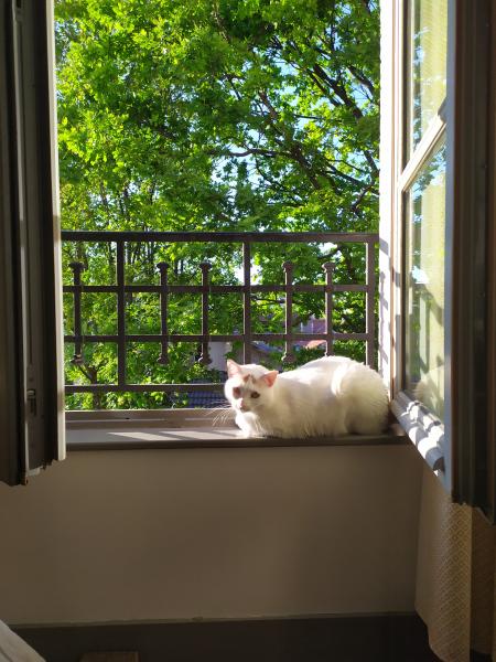 Mimi