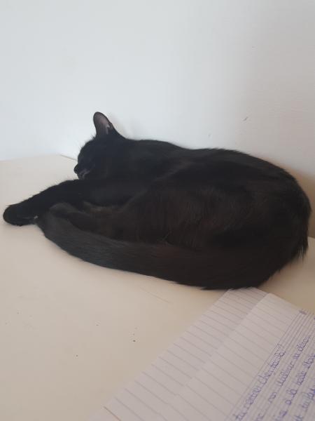 Salem