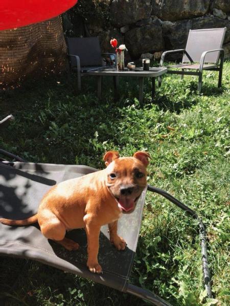 Ruby