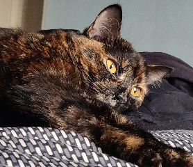 Léonie
