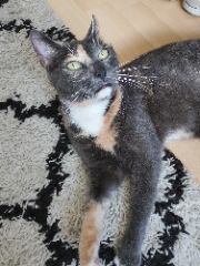 Tina