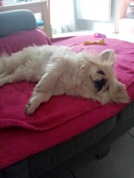 Juliette