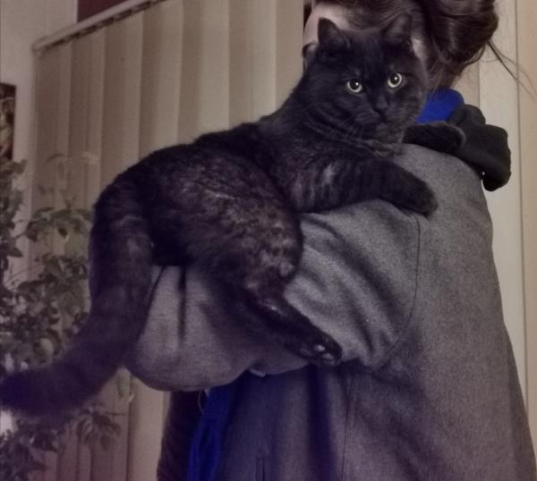 Ninja