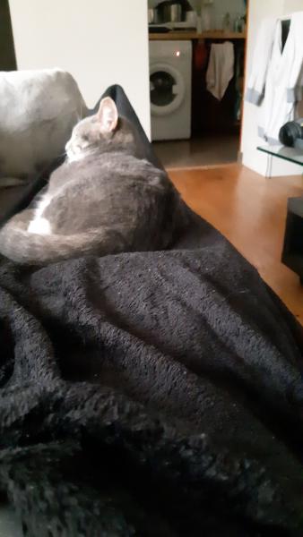 Freyja