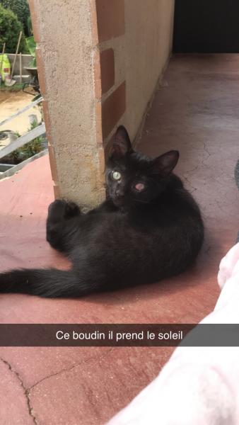 Romeo