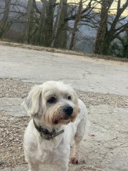 Bobby