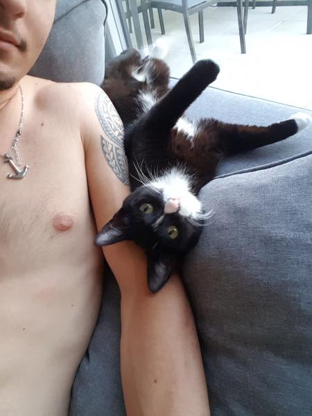 Arya