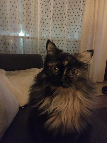 Clara