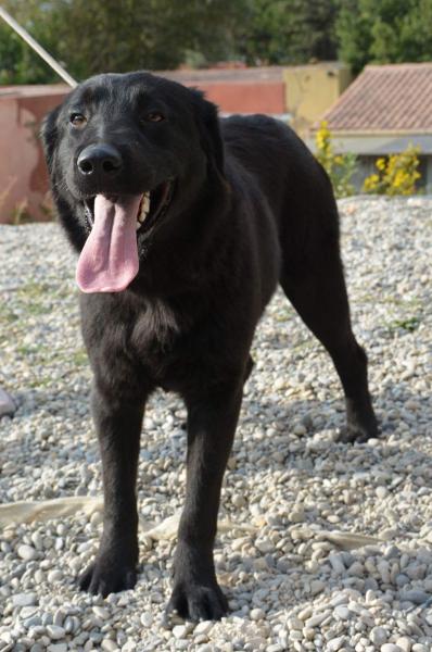 Mya