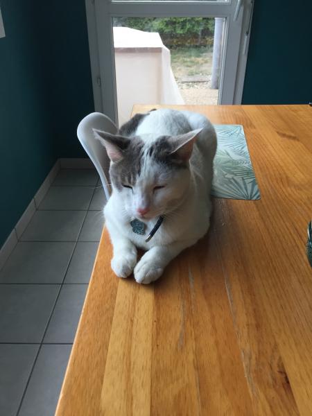 PEPITO