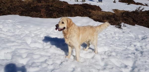 Marley