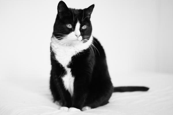 Aiko