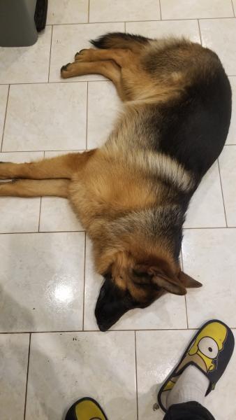 Ridley