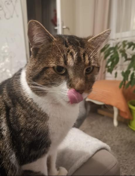 Léo