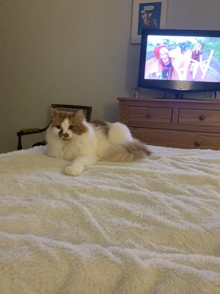 Lilou