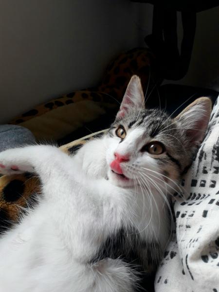 Tom