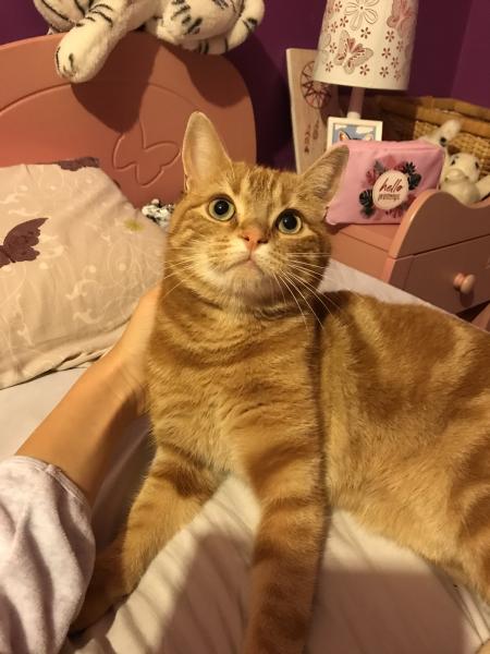 rosie
