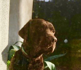 JUNIOR