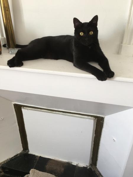 Paco