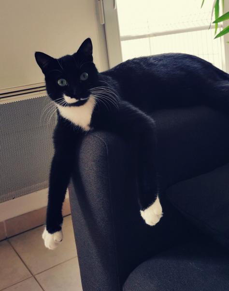 Paolo