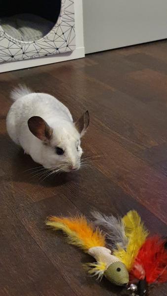 Lilou