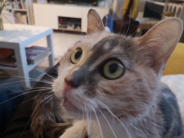 Margot