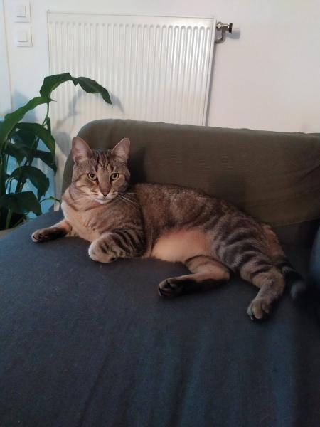 Max