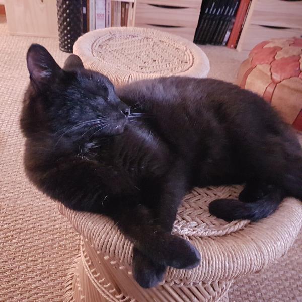 Stormie