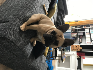 Ralf