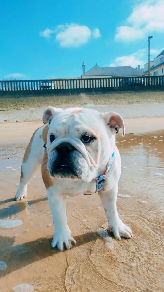 Roxy