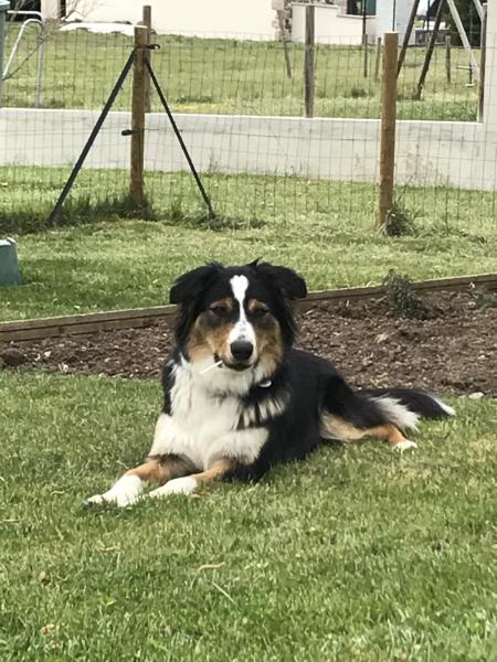 Rixie