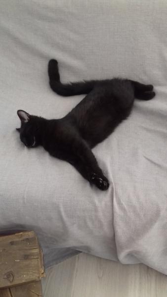 Oliver