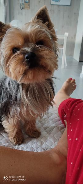 Eddy