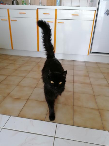 Socrate
