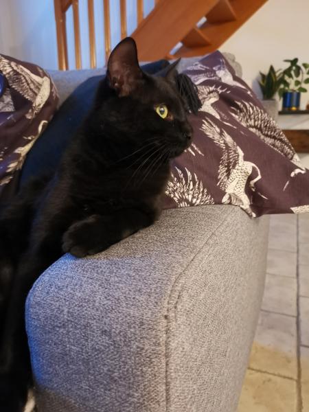 Salem