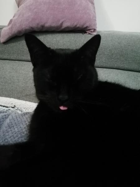 Oliver