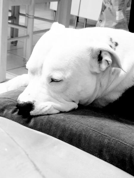 Tayson