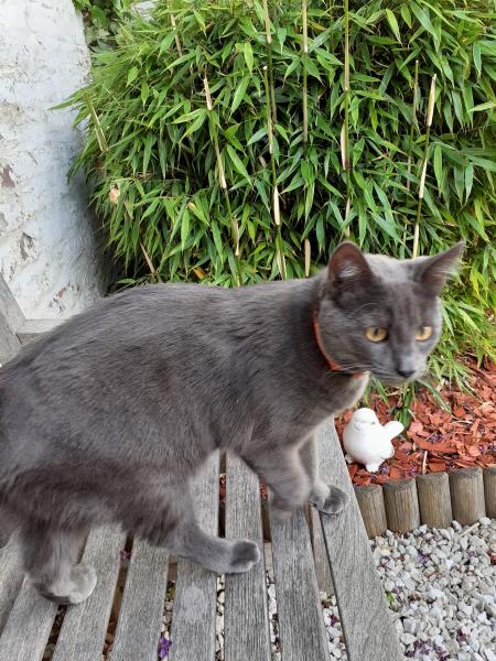 Keiko