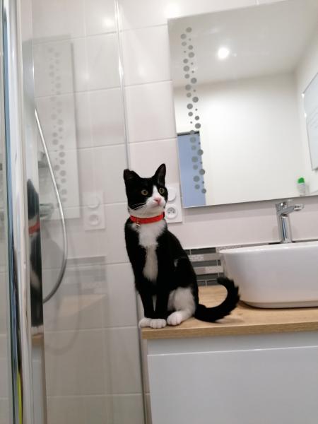 Suki