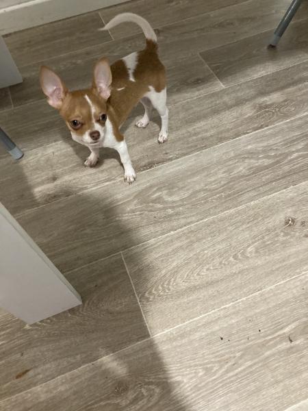 Miky