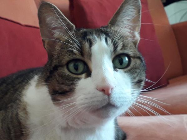 Ganja