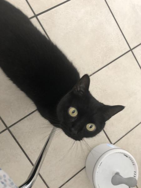 Mia