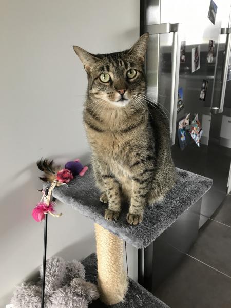 ZÉLIE